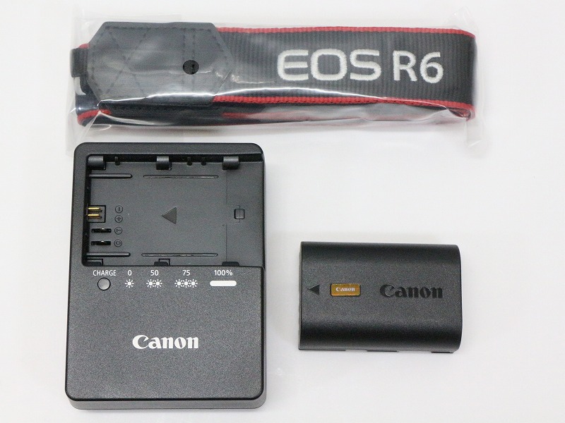 ○○【良品】Canon EOS R6 ミラーレス 一眼カメラ ボディ RFマウント